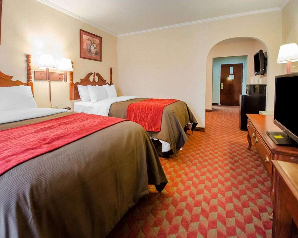 Comfort Inn Bardstown Quarto foto