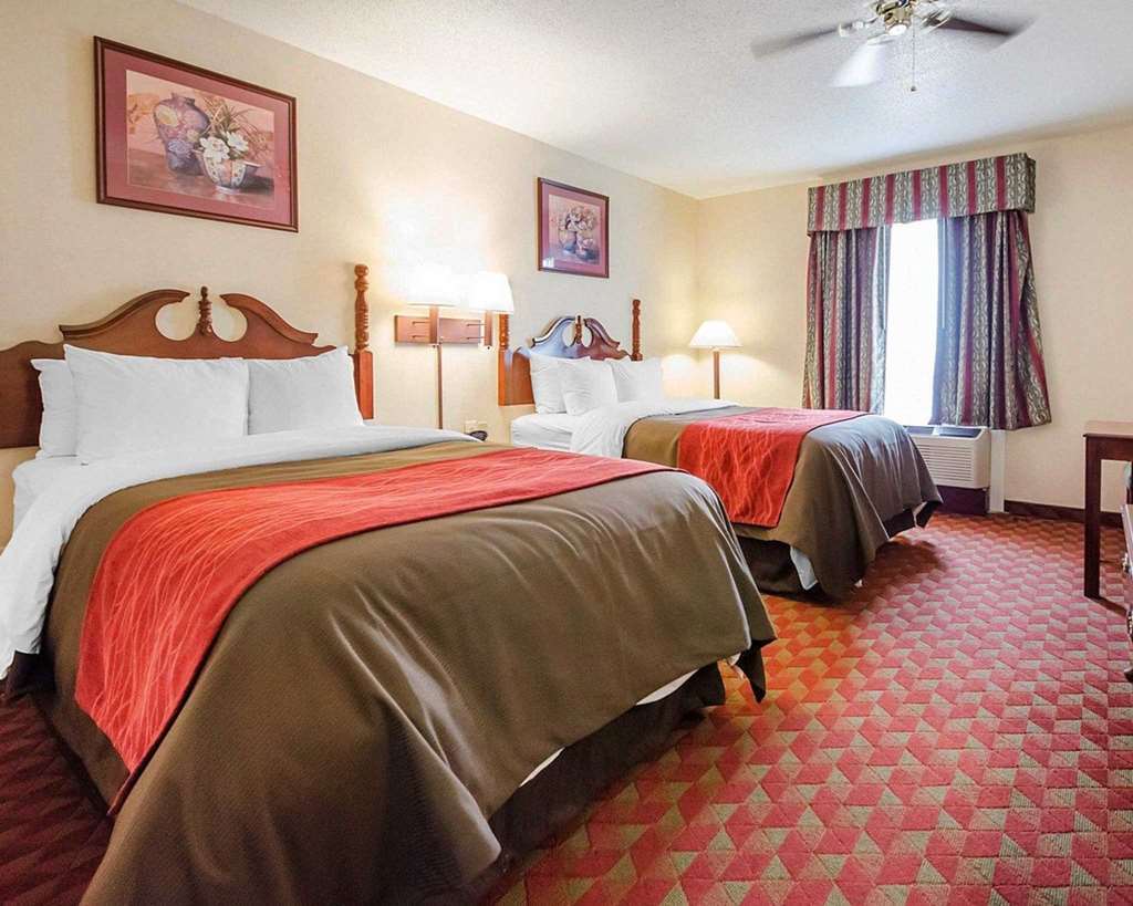 Comfort Inn Bardstown Quarto foto